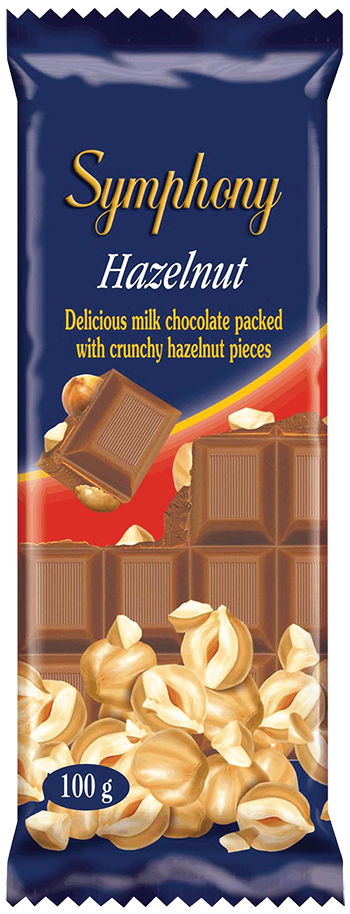 Chocolate Slab with Hazelnut 100g_web