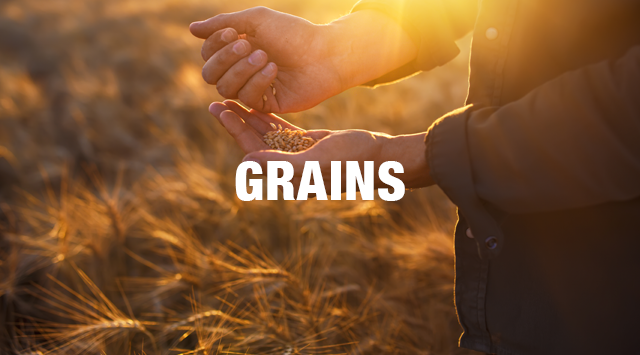 	food-grains