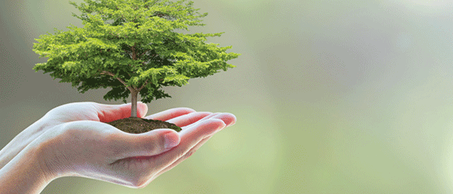 sustainability-nurturing-environ_mobile