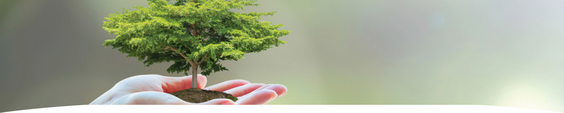 sustainability-nurturing-environ